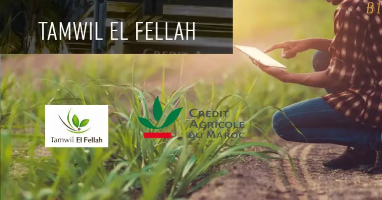 Tamwil El Fellah